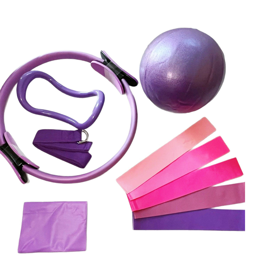Customized LOGO 5-Piece Home G - Pilates Yoga Ball Workout 评论和价格