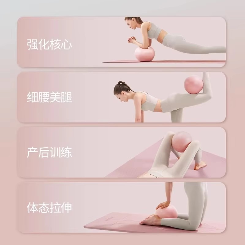 Women Gym Yoga Fitness Ball Th - Pilates Yoga Ball Workout 评论和价格