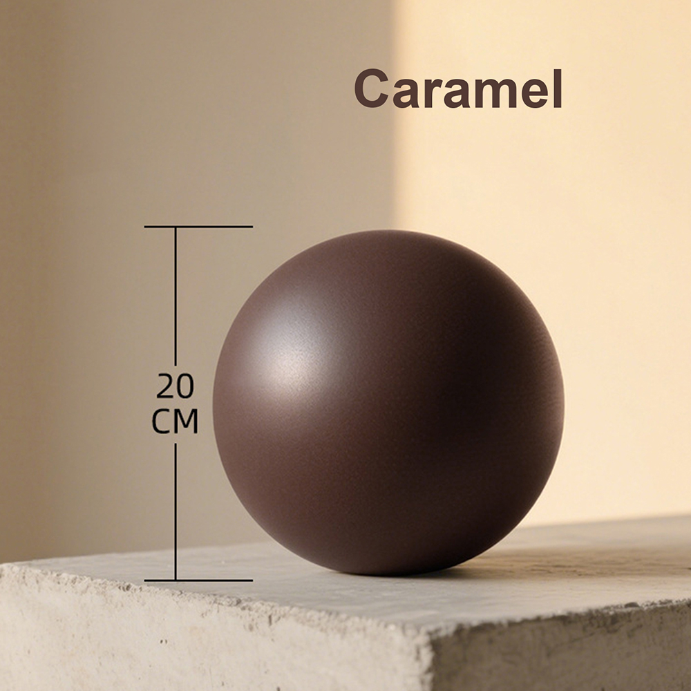 20cm Matte Exercise Ball Barre - Pilates Yoga Ball Workout 评论和价格
