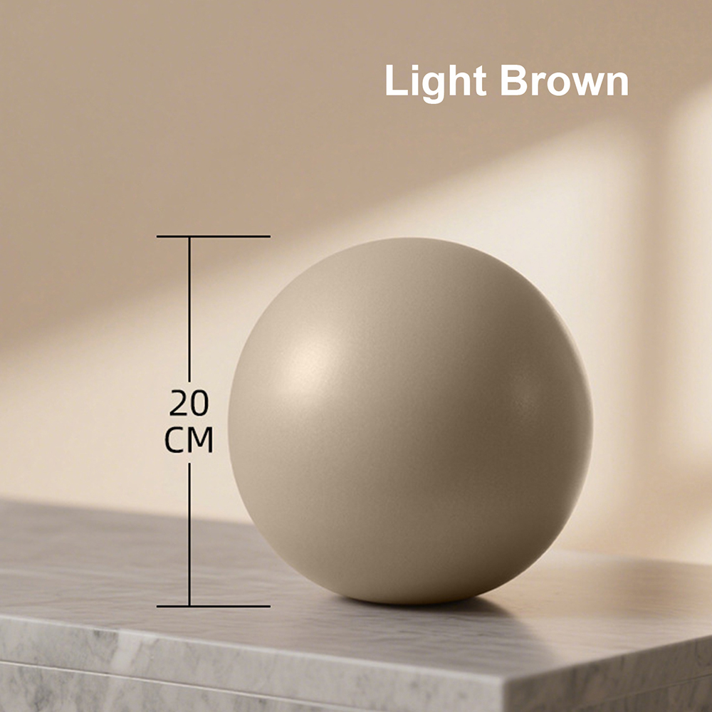 20cm Matte Exercise Ball Barre - Pilates Yoga Ball Workout 评论和价格